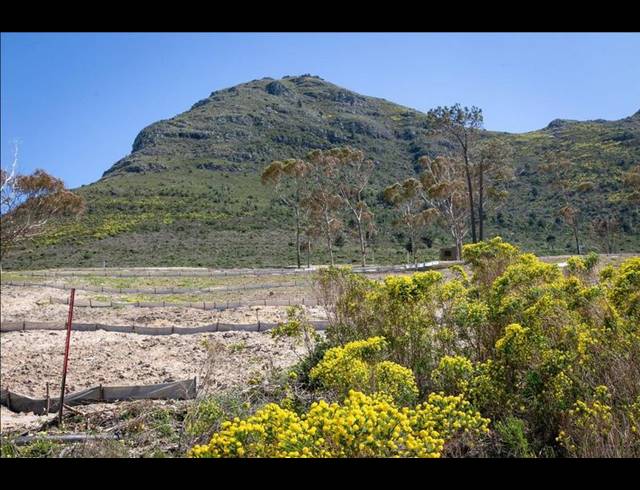 3 BEDROOM HOUSE FOR SALE IN CHAPMAN'S BAY ESTATE